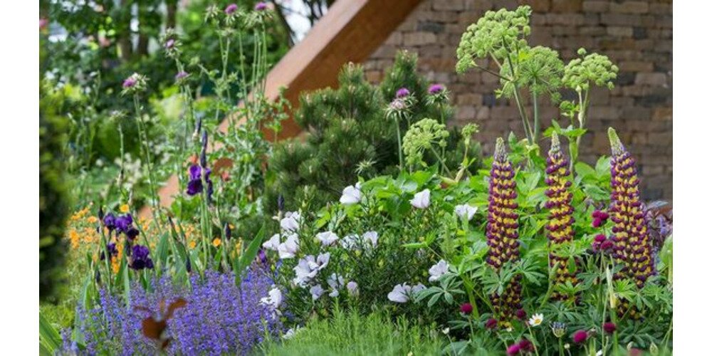 13 Inspiring Garden Trends For 2019  Image